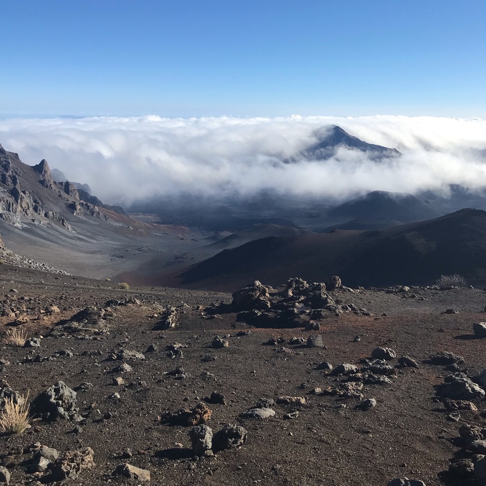 Meet your Posher, Zach